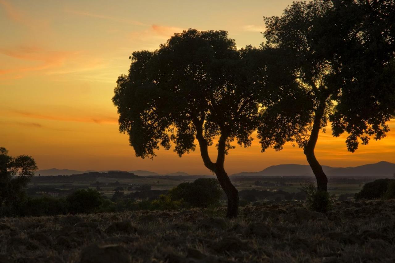 Bio Agriturismo Il Melograno Di Banditella Ristorante อัลเบเรเซ ภายนอก รูปภาพ